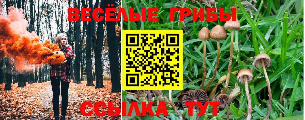 Галлюциногенные грибы Psilocybine cubensis  Вход с VPN  Туапсе  Псилоцибиновые грибы прущие грибы 