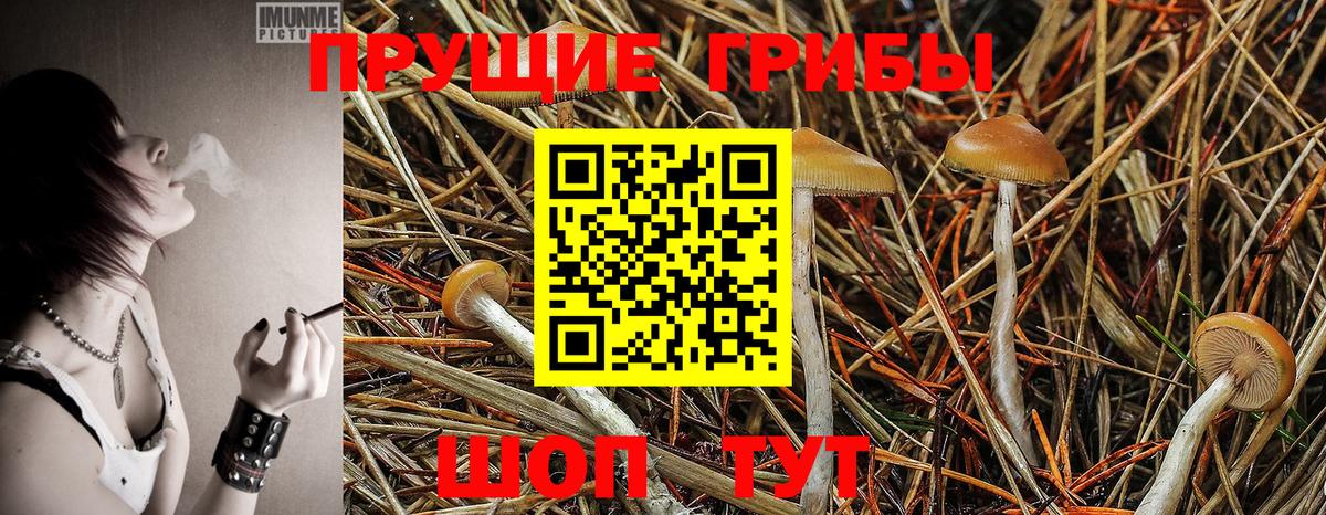 Галлюциногенные грибы мицелий Туапсе